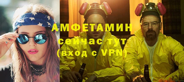 хмурый Алексин