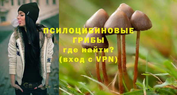 мяу мяу мука Арсеньев