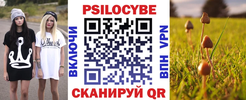 как найти   Льгов  Галлюциногенные грибы Cubensis 
